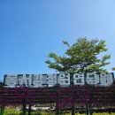 연당로 | 영월 가을여행 국화축제 가볼만한곳 동서강정원 연당원