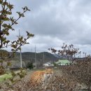 새보성식당 이미지