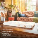 더플레이트 이미지