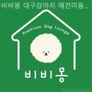 비비몽 이미지