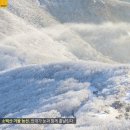 정화여행