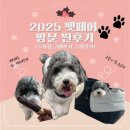 이도테크 | 2025 일산 메가주 펫페어 후기｜킨텍스 첫 방문 리뷰 + 주차·구경·유모차 구매까지 (텅장된 썰)