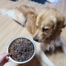 멍이부뚜막 이미지