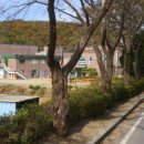 에스에이치바이오 주식회사 이미지