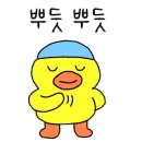 고기저장고