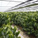 범준농장 이미지