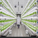 상은농장 이미지