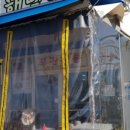 해덕이네활어