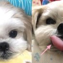 콩이언니