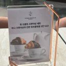 우리나라디저트 | 대구신세계디저트선물 피에르마르콜리니 디저트 내돈내산 후기