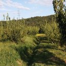 최성기농장 이미지