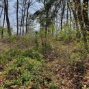 성미축산 | 아산 기산동산성(牙山 岐山洞山城)