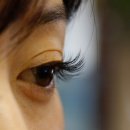 비비드 속눈썹 이미지