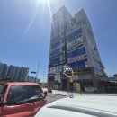 울산착한동물병원 | 울산 북구 동물병원 잘하는동물메디컬센터 - 고양이 무식 집사의 정착여정