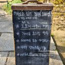 원주행복드림요양원 | 원주 한옥 정원 카페 들꽃이야기 지금 꼭 가보세요! 디저트, 누룽지커피 진짜 레전드 존맛