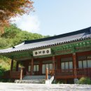 지리산역사관 | 지리산역사관 방문 후기: 흥미진진한 역사 여행