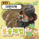 숲파티포레 대전 숲체험 아이와 함께하는 즐거운 주말 학습 후기