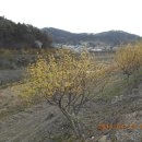 남한강변길 이미지