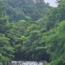 명진축산 이미지