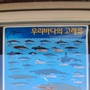 CU 속초장사항점 이미지