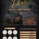 에이스원 Daum카페