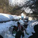 삼척양계장 이미지