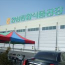 한국양봉농업협동조합 이미지