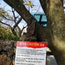 연우커머스 이미지