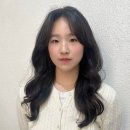 송하헤어
