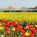 유채하우스 이미지