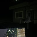 광장 | 🌞는 동쪽에서 보시오-!(목포 평화광장 해돋이 후기..ㅋ)