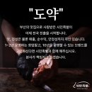시민족발경산 이미지