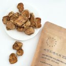 파인드네이처 이미지