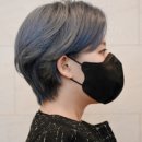 프리지아 헤어 - 서구 | 프리지아 헤어