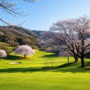 하동체육시설사업소 | 하동 진교파크골프장 예약하기 전화번호 홈페이지 위치 이용방법
