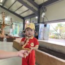 라쿤 하우스 | 익산 아기랑 가볼만한곳 익산 액션하우스 재방문 솔직후기