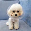 메르시동물병원 이미지