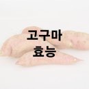 고구마 효능 및 효과 보관법 이미지