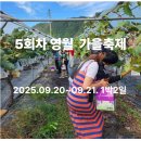 영월동로 | 영월 가을축제 5회차 농촌체험여행, ‘슬로시티 낭만여행’ 후기