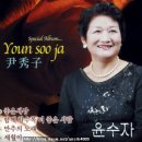 나비가요세상 이미지