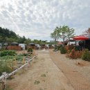 디투어스 이미지