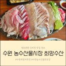 씨스페이스 남문시장점 | 수원 농수산물시장 대방어 맛집 신선한 회가 일품인 희망수산