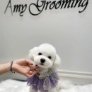 GROOMING107 이미지