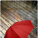 빨간우산 이미지