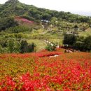 영인산자연휴양림 이미지