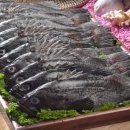 섬 우럭축제 이미지