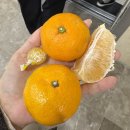 부안군보건소 | 임산부 기형아검사비 환급 신청 후기｜기형아검사비 환급 가능한 지역, 신청 준비물 정리