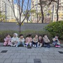 여러가지 봄꽃을 보고 목련꽃잎을 탐색했어요.~ 이미지