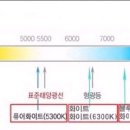 407HDi 전구규격 이미지