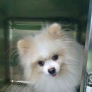 첨단산업로 이미지